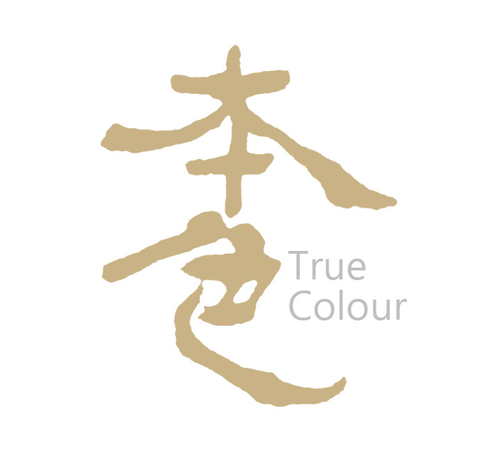 True Colour Art Gallery